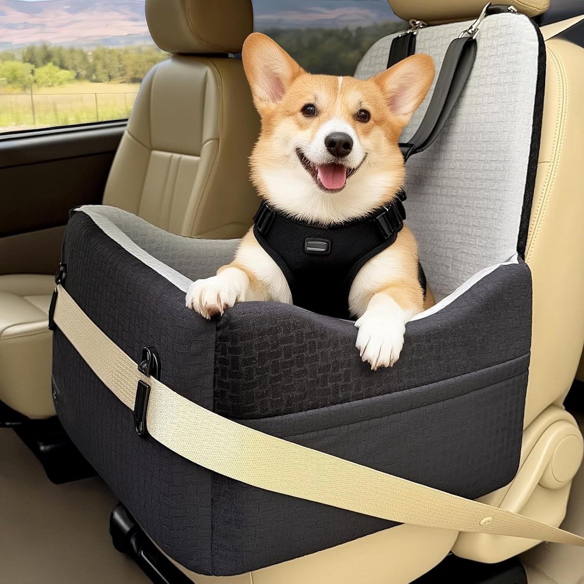 Honden autostoel - Reisstoel huisdier - Veilig reizen - Verhoogd zicht - 41 x 20 x 17 cm - Grijs