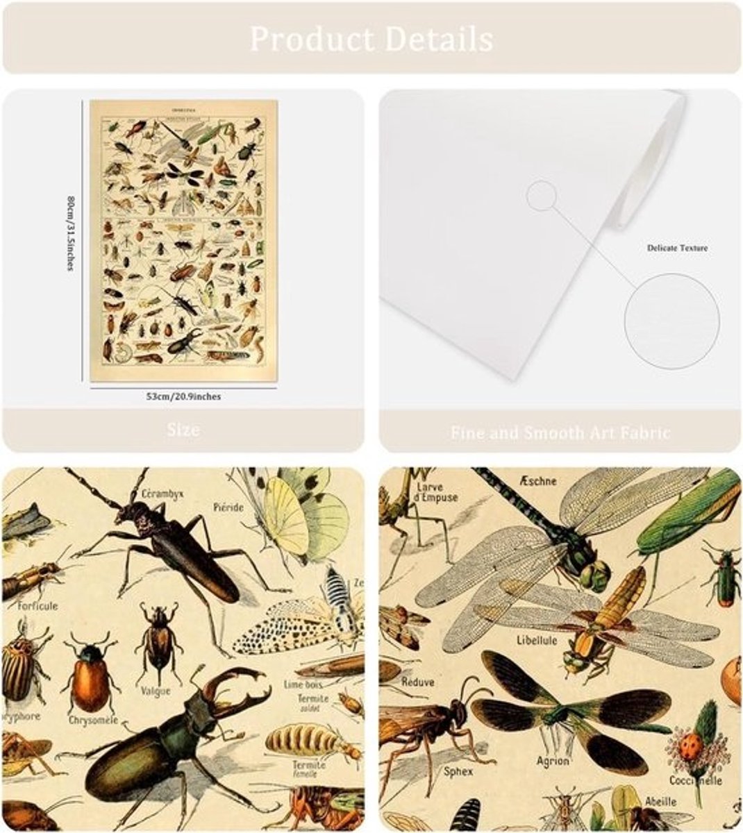 Vintage Poster Print Entomologie Insecten Illustratie 80 x 50 cm