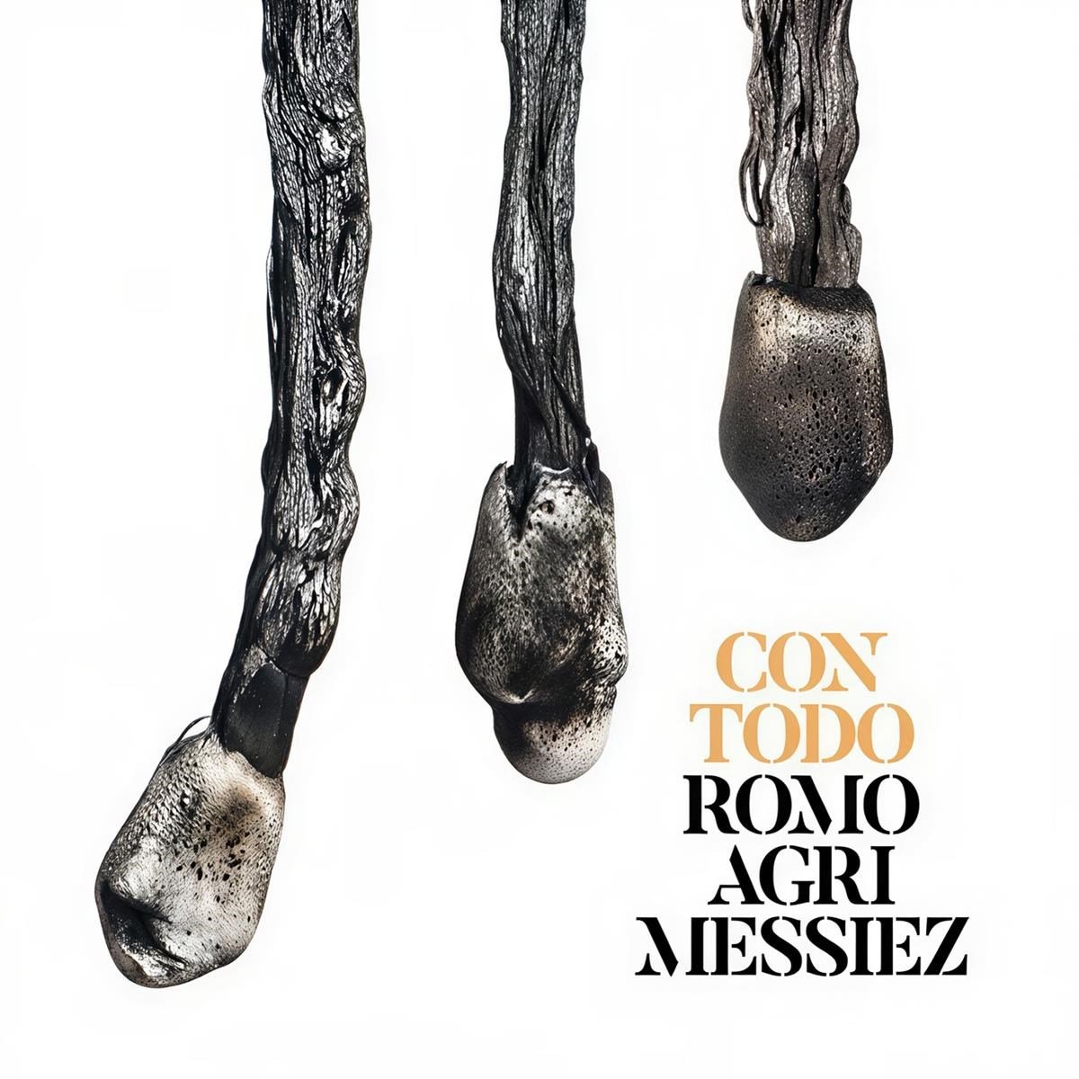Romo Agri Messiez - Con Todo (LP)