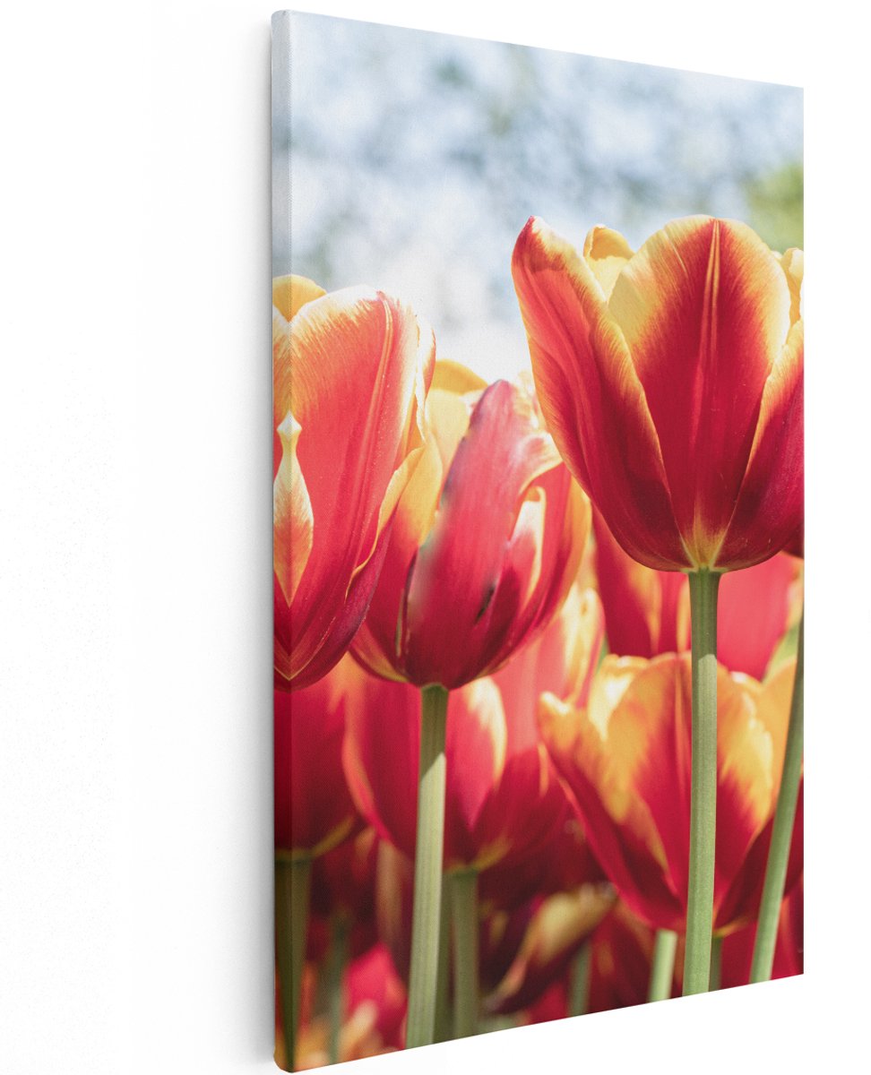 Artaza Canvas Schilderij Oranje Rode Tulpen - 120x180 cm - Groot - Wanddecoratie Woonkamer - Schilderijen - Muurdecoratie