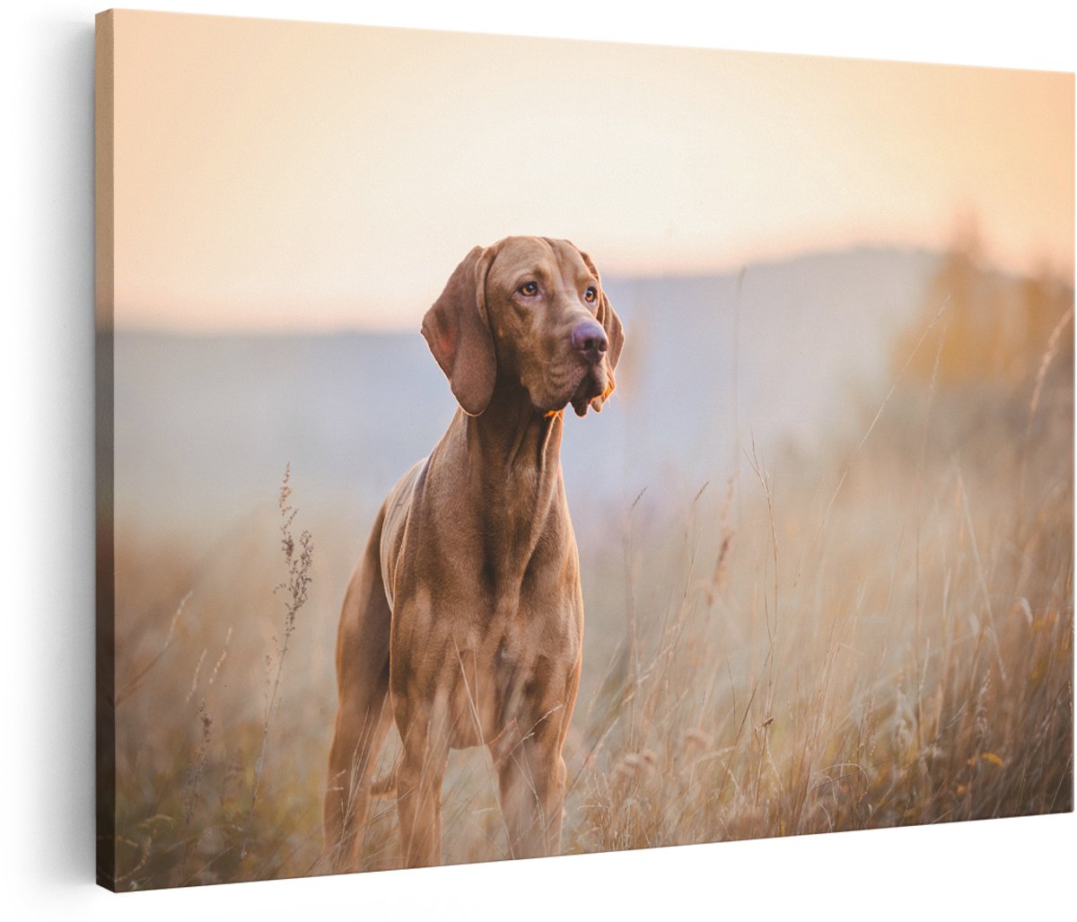 Artaza Canvas Schilderij Hongaarse Vizsla Hond In Het Gras - 180x120 cm - Groot - Wanddecoratie Woonkamer - Schilderijen - Muurdecoratie