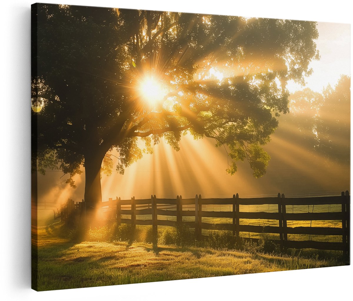 Artaza Canvas Schilderij Zonnestralen door een Boom in een Veld - 180x120 cm - Groot - Wanddecoratie Woonkamer - Schilderijen - Muurdecoratie