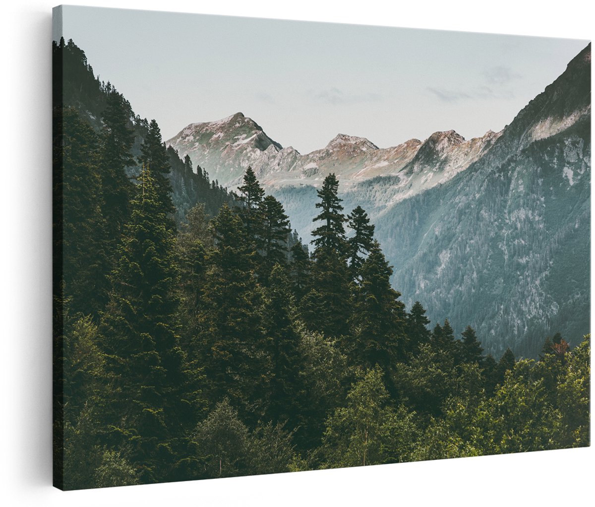 Artaza Canvas Schilderij Bos Met Bomen In De Bergen - 180x120 cm - Groot - Foto Op Canvas - Wanddecoratie Woonkamer