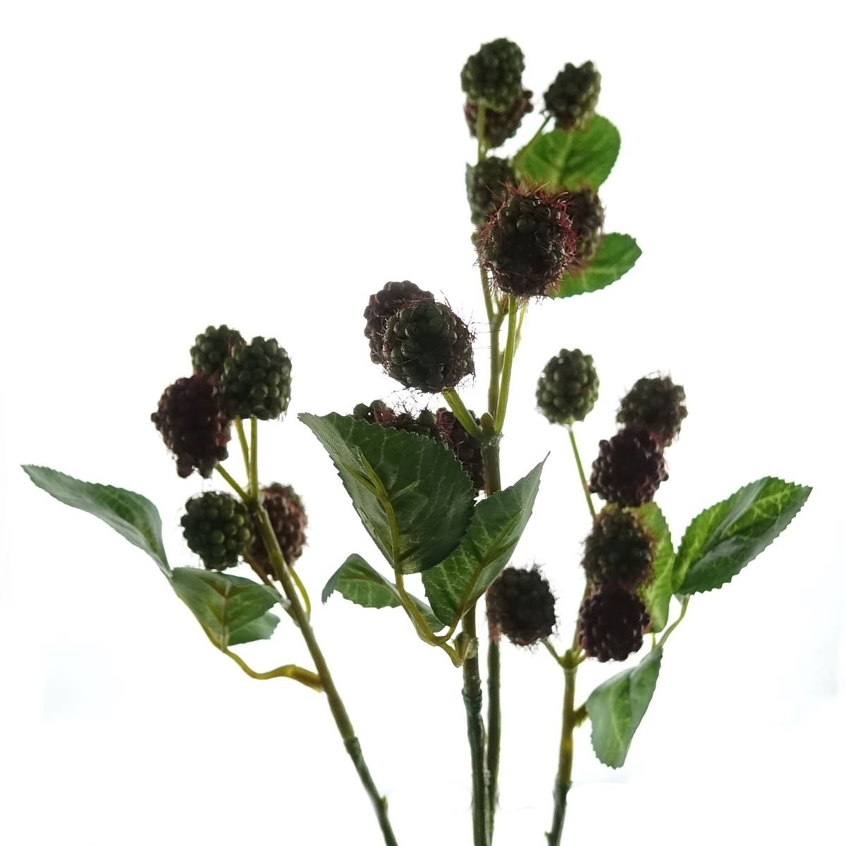 Gasper Kunstbloem Frambozentak Groen-Rood 68 cm