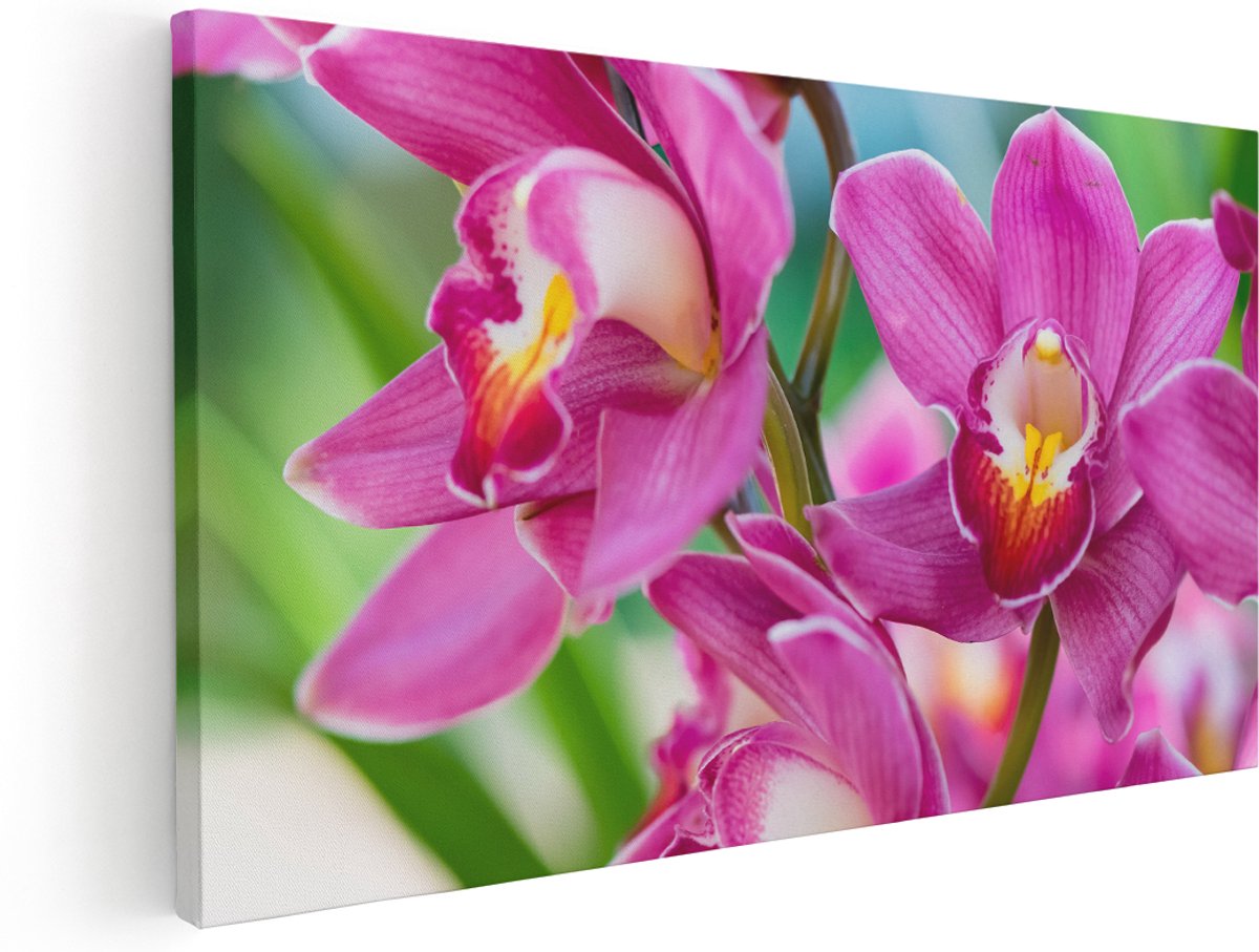 Artaza Canvas Schilderij Licht Paarse Orchidee Bloemen - 180x90 cm - Groot - Wanddecoratie Woonkamer - Schilderijen - Muurdecoratie