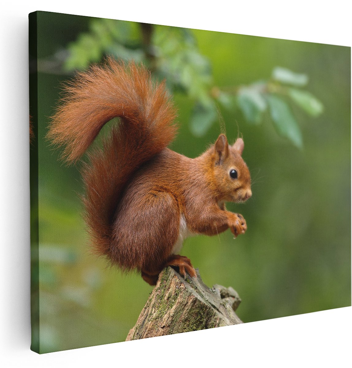 Artaza Canvas Schilderij Eekhoorn op een Boomstam in het Bos - 160x120 cm - Groot - Wanddecoratie Woonkamer - Schilderijen - Muurdecoratie