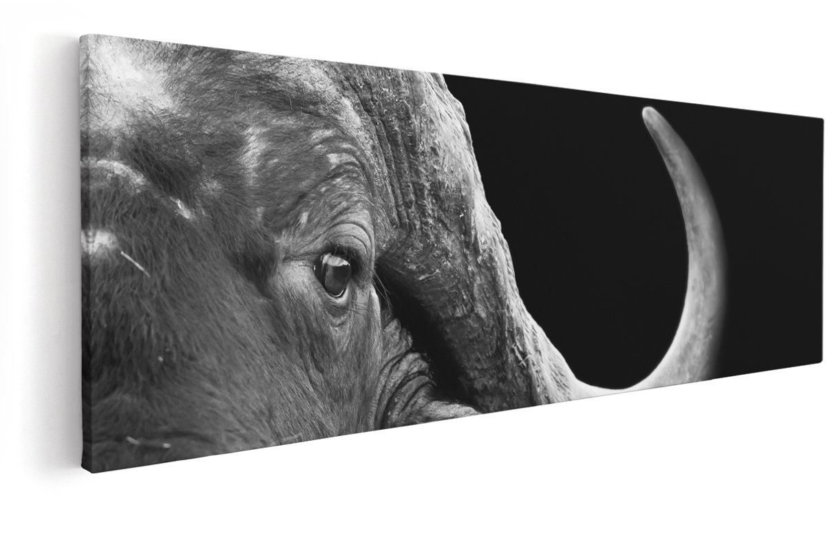Artaza Canvas Schilderij Buffel - Buffelkop - Zwart Wit - 150x50 cm - Groot - Wanddecoratie Woonkamer - Schilderijen - Muurdecoratie
