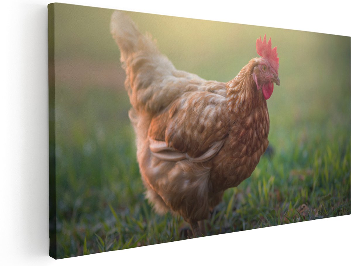 Artaza Canvas Schilderij Kip in het Gras - 140x70 cm - Groot - Wanddecoratie Woonkamer - Schilderijen - Muurdecoratie