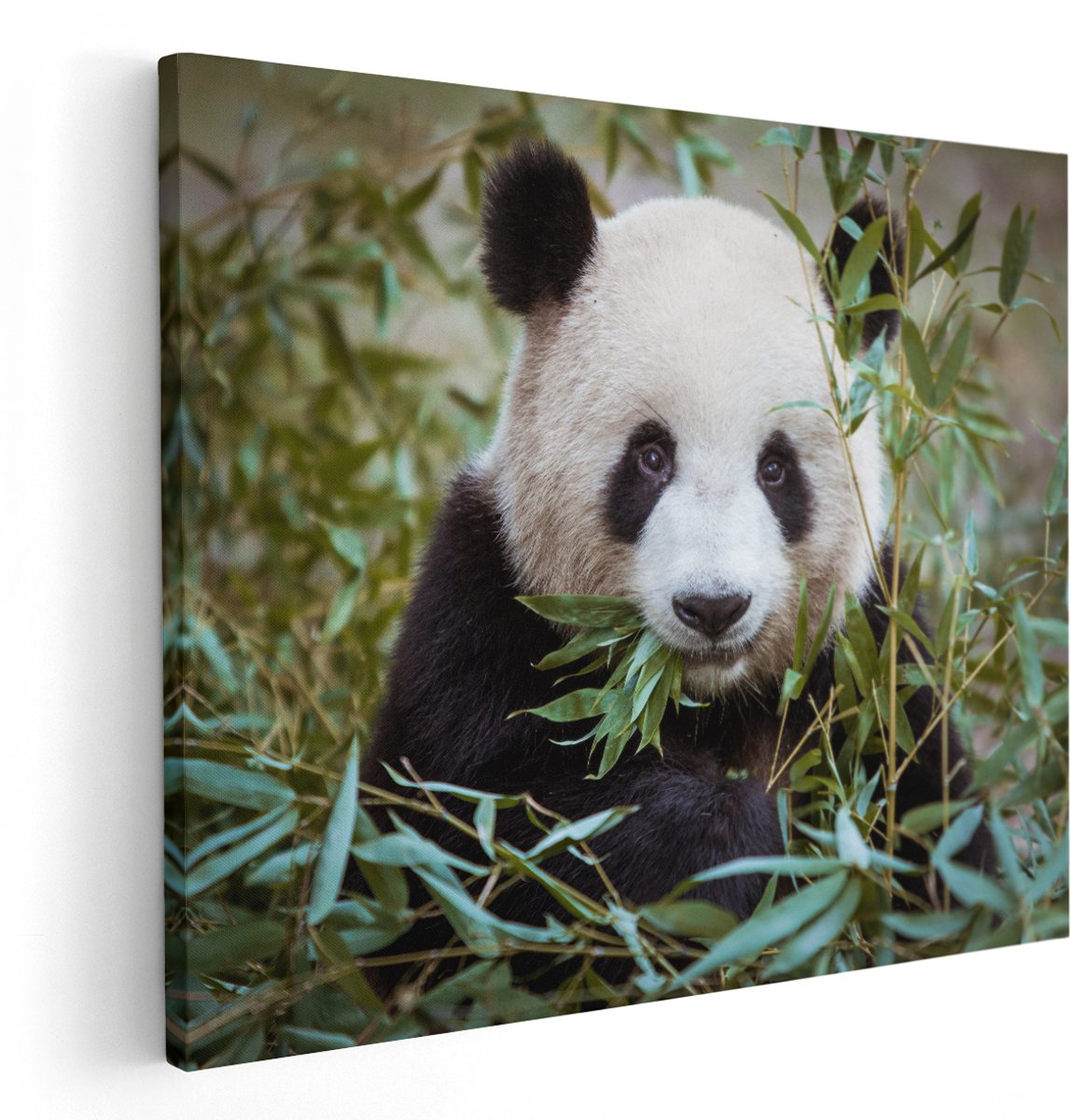 Artaza Canvas Schilderij Panda Eet Planten - 150x120 cm - Groot - Wanddecoratie Woonkamer - Schilderijen - Muurdecoratie