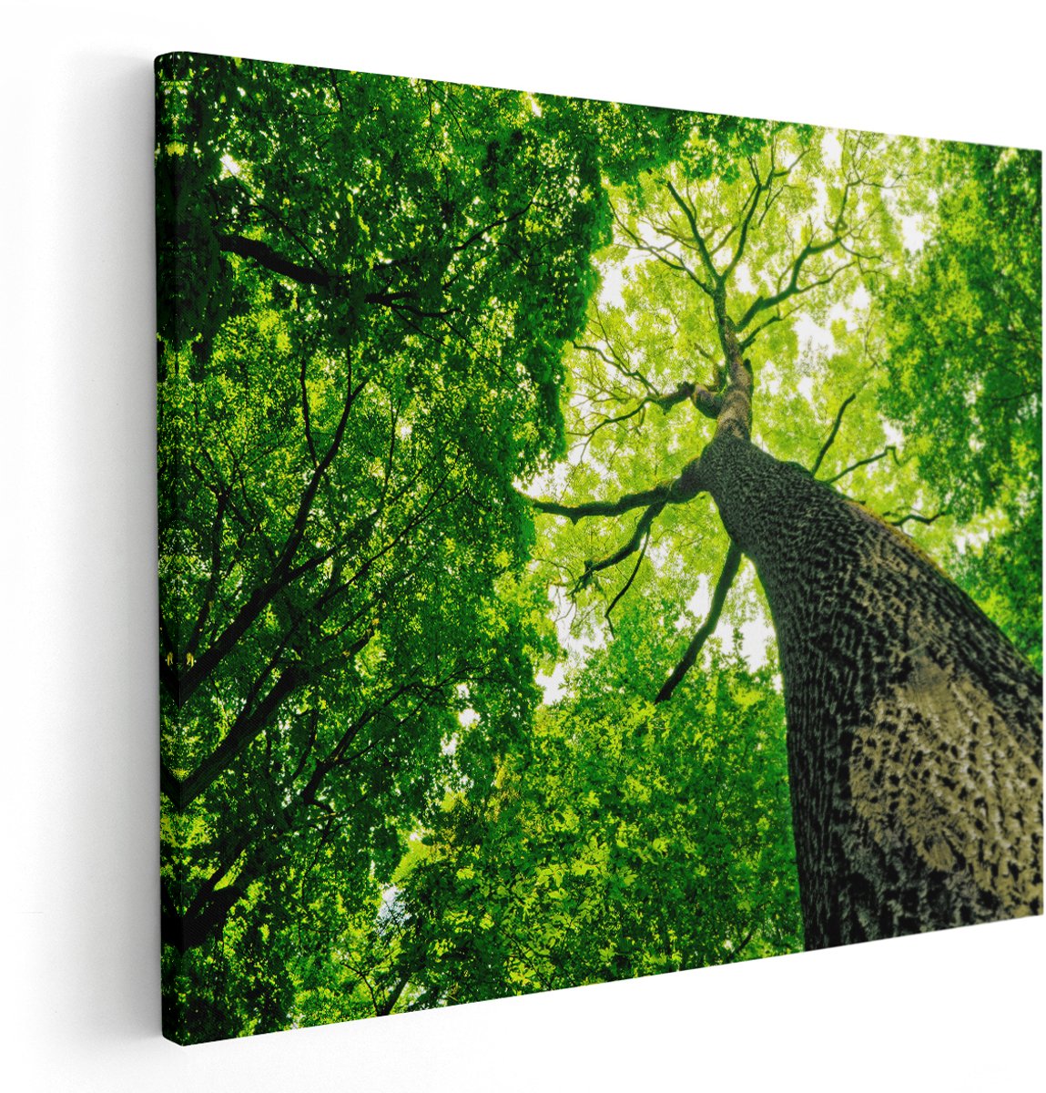 Artaza Canvas Schilderij Boom In Het Bos Met Fel Groene Bladeren - 150x120 cm - Groot - Wanddecoratie Woonkamer - Schilderijen - Muurdecoratie
