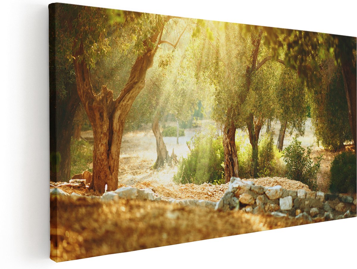 Artaza Canvas Schilderij Olijfbomen - Olijfboomgaard - 160x80 cm - Groot - Wanddecoratie Woonkamer - Schilderijen - Muurdecoratie
