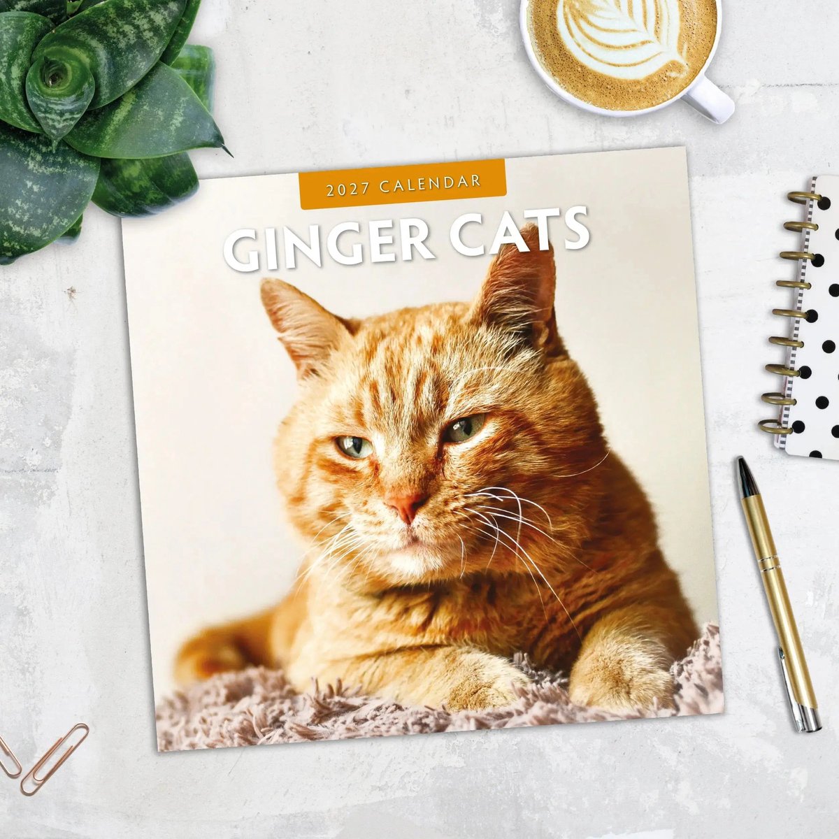 Rode Katten Kalender 2027