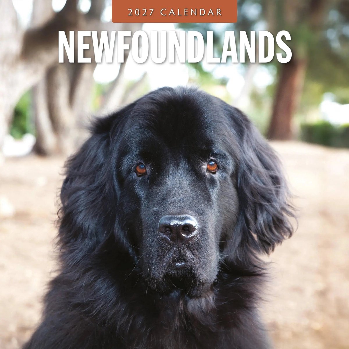 Newfoundlander Kalender 2027