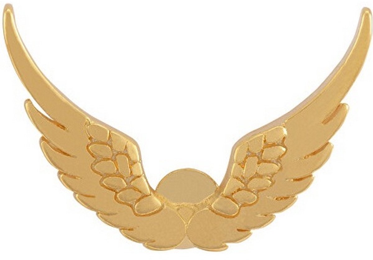 TROLI KS-196 GOLD-PLATED ASTON MARTIN BROCHE 1 STUK
