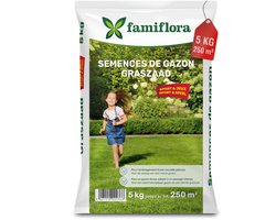 Famiflora graszaad 5kg tot 250m² - Speel & Sport - voor aanleg nieuw gazon - Maakt een sterk en beloopbaar gazon zodat kinderen veilig kunnen spelen