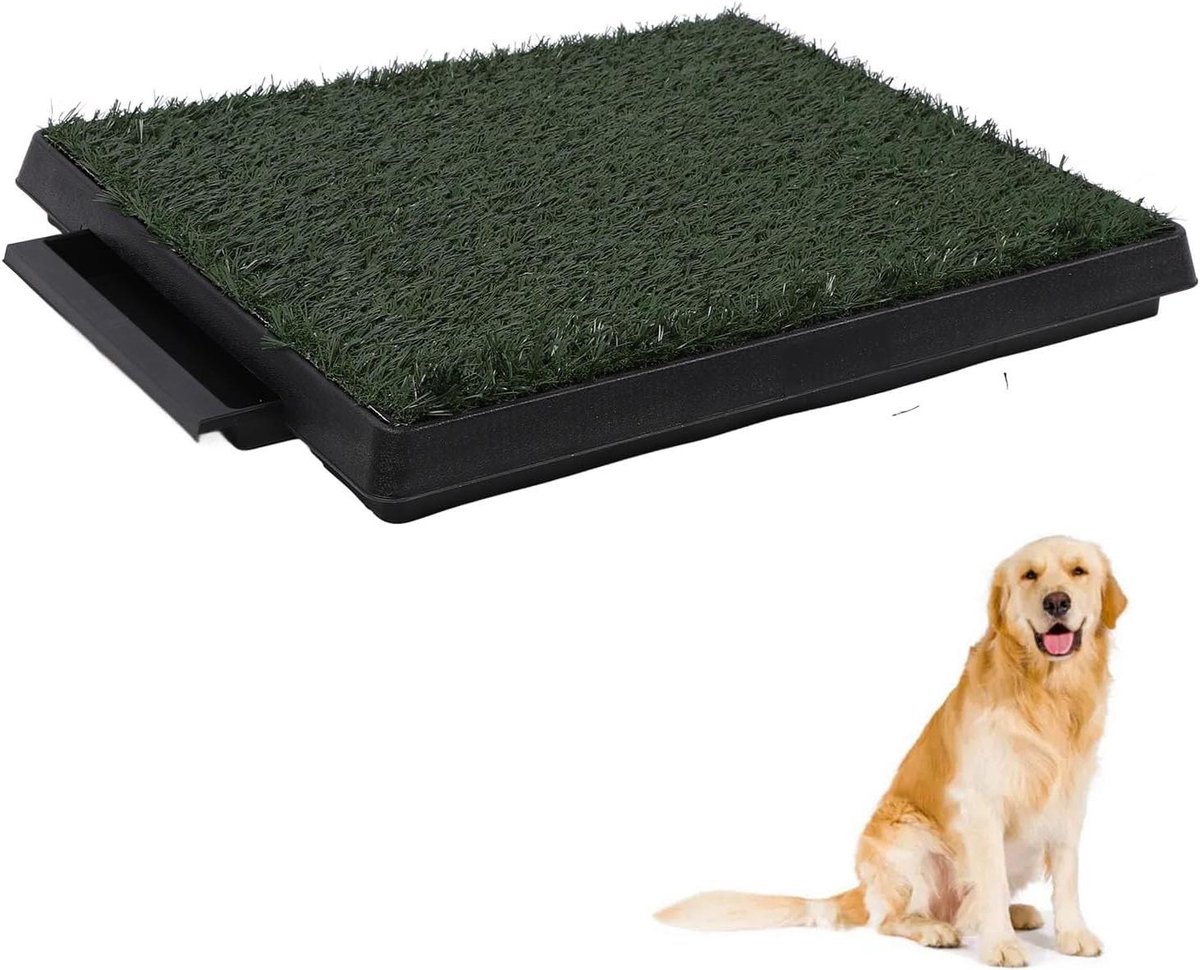 Hond Gras Potje - Plasmat Honden - Binnen Zindelijkheid - Geurbestendig Ontwerp - Klein Formaat - Groen