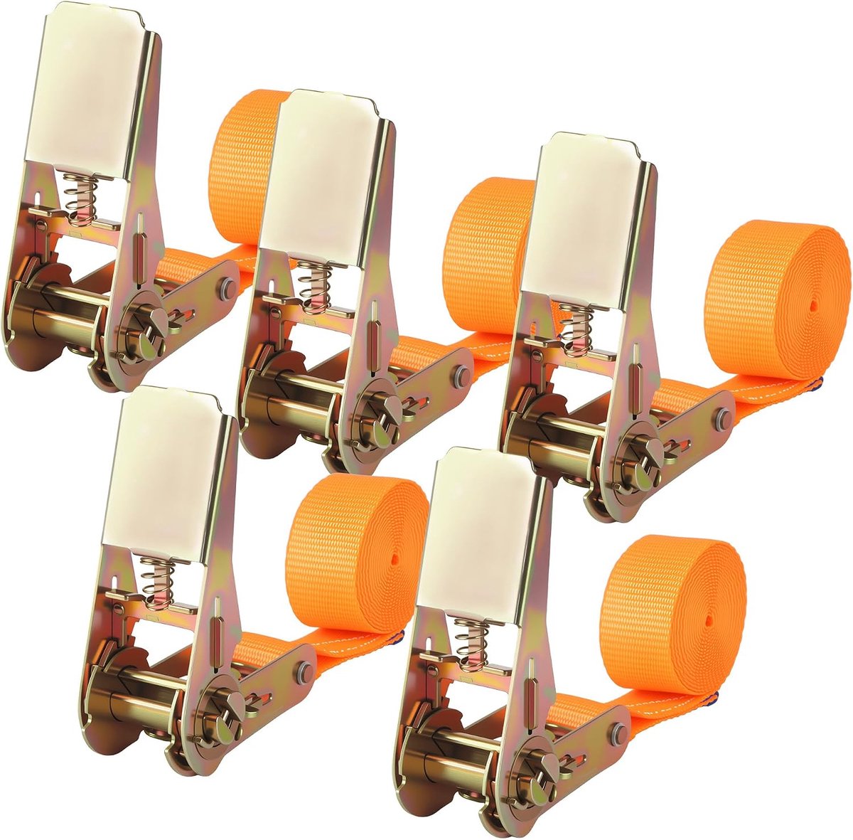 5 stuks ratelriemen zonder haken, 25 mm x 2 m bevestigingsriemen, kan 800 kg dragen, voor auto, motorkoffer, conform DIN EN 12195-2