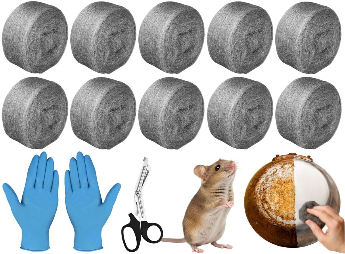 Staalwol, 10 stuks, kwaliteitsklasse 0000, tegen muizen en ratten, lagers, reinigingsborstel, voor verwijderen van roest