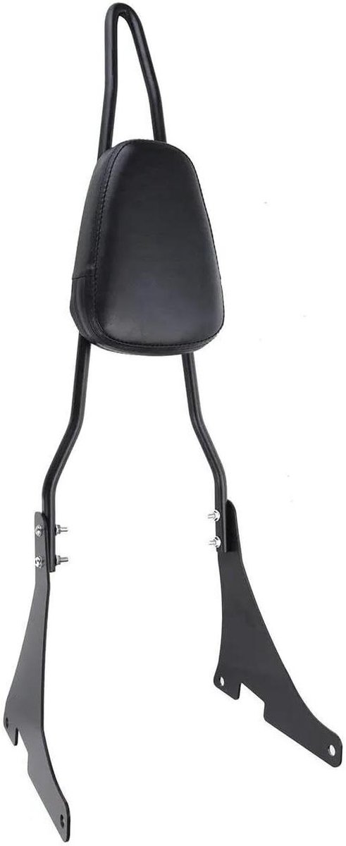 Motorfiets Rugleuning - Passagiersrugsteun Kussen - Comfortabel Rijden - Met Bagagedrager - 58.42 cm - Zwart