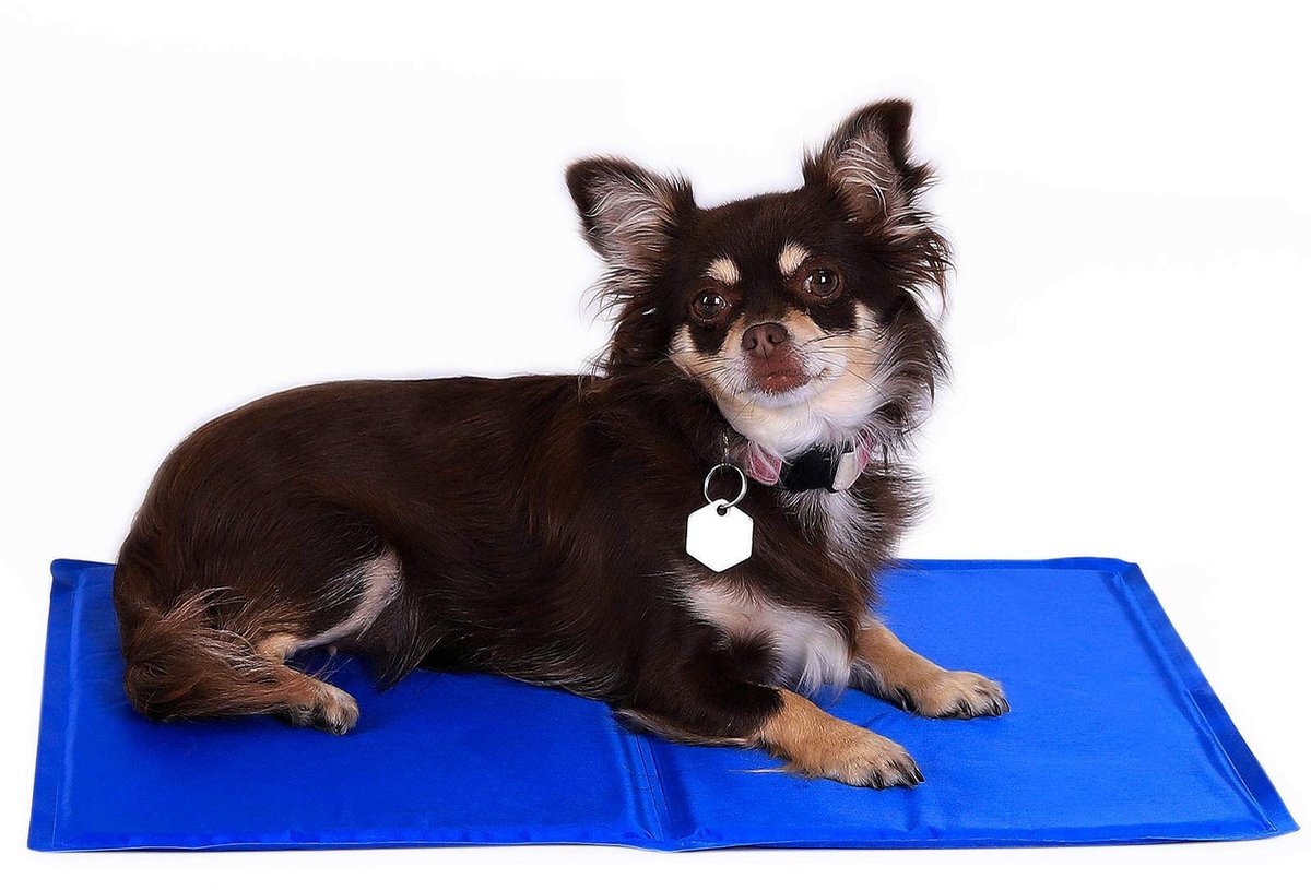 Koelmat voor honden & katten, zelfkoelende huisdierenmat zorgt voor verfrissing op warme dagen, (M) 90x50 cm, opvouwbare koeldeken zonder elektriciteit, verkoeling door lichaamscontact, bla