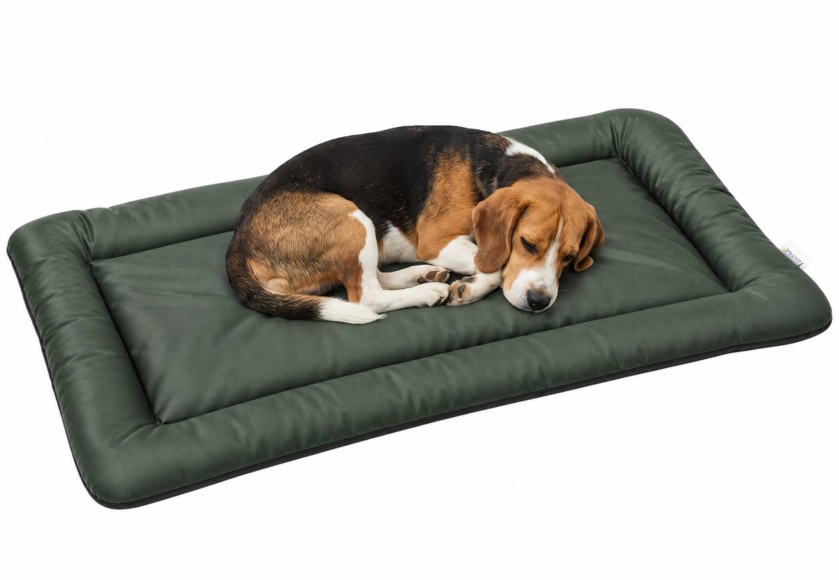 PawHut Pet Bed Mat-Oxford-Gewebe, PP-Baumwolle-110L x 68B x 6H cm-Grün
