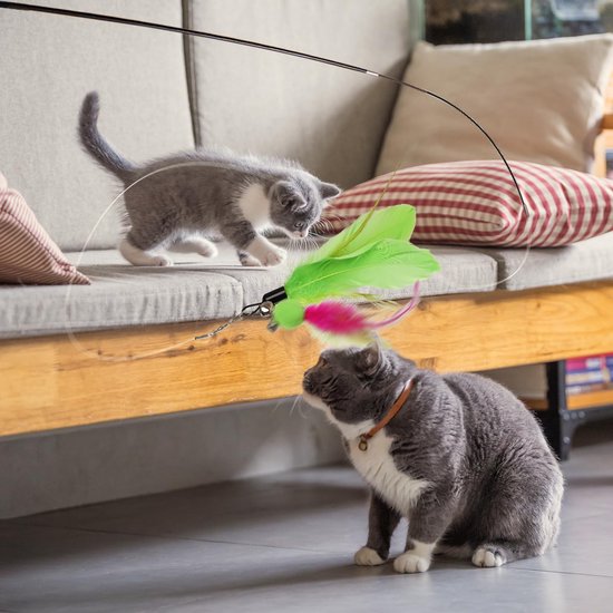 16 stuks kattenveren speelgoedset, interactief speelgoed met 2 toverstokken en 14 vervangende veerplagertjes met bel voor kitten of kattenvanger, plezier hebben oefening spelen — afbeelding 5