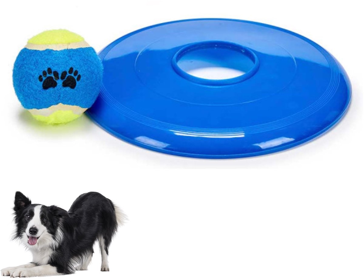 Hondenspeelgoed Frisbee met Bal – Werpschijf + Interactieve Bal – Buitenspel, Gooien & Apporteren – Blauw - Rood - Groen