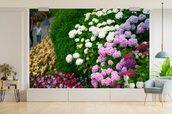 Behang - Fotobehang Levendige hortensia bloemen - Breedte 390 cm x hoogte 260 cm