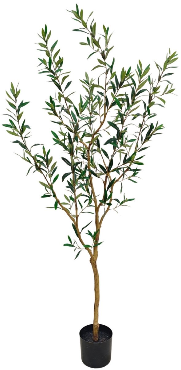 PrettyPlants Kunst Olijfboom 165cm Groen