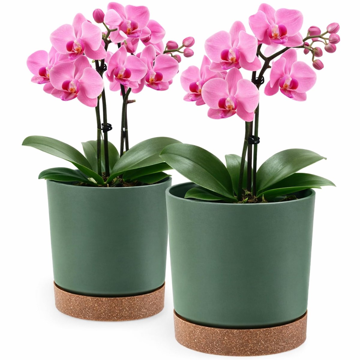 mat, plantenbak van overpot kunststof Decoratieve pot voor, grote en kleine planten, set van 2 bloempotten, kruidenpot (2-pack) Groen, ø 11 cm