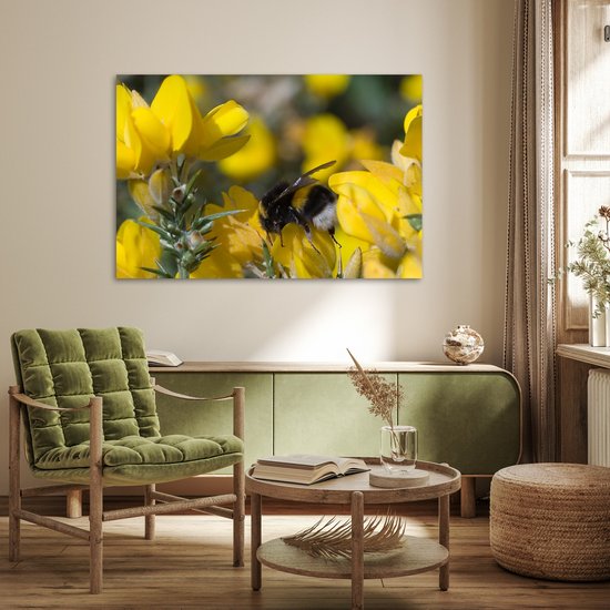 Abeille sur une fleur de balai 120x80 cm