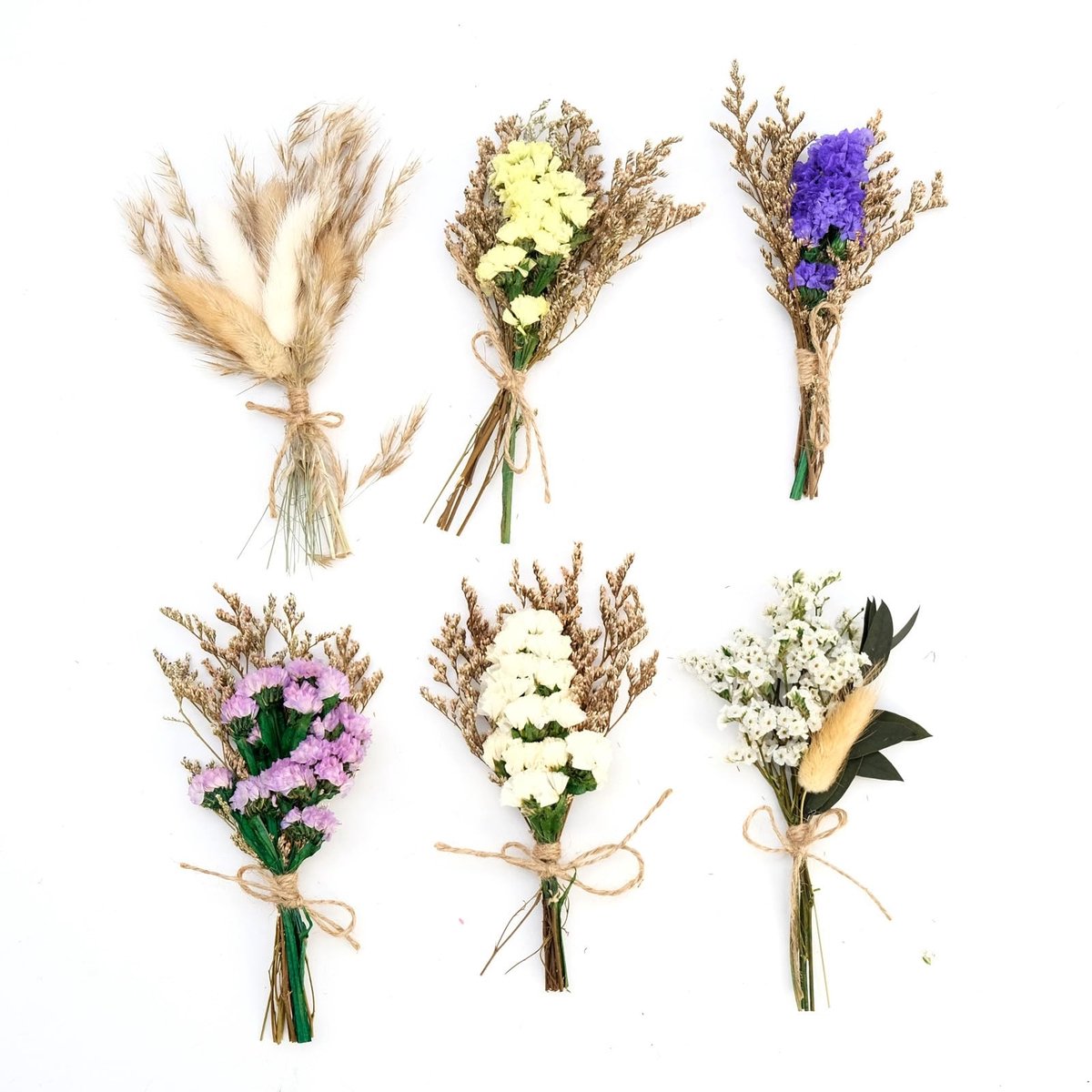 Dailygoods - Mini-gedroogde bloemen, 6 bundels droogbloemen, doe-het-zelf droogbloemen voor fotolijst, kunst, handwerk, dagelijkse woondecoratie, bruiloftsdecoratie