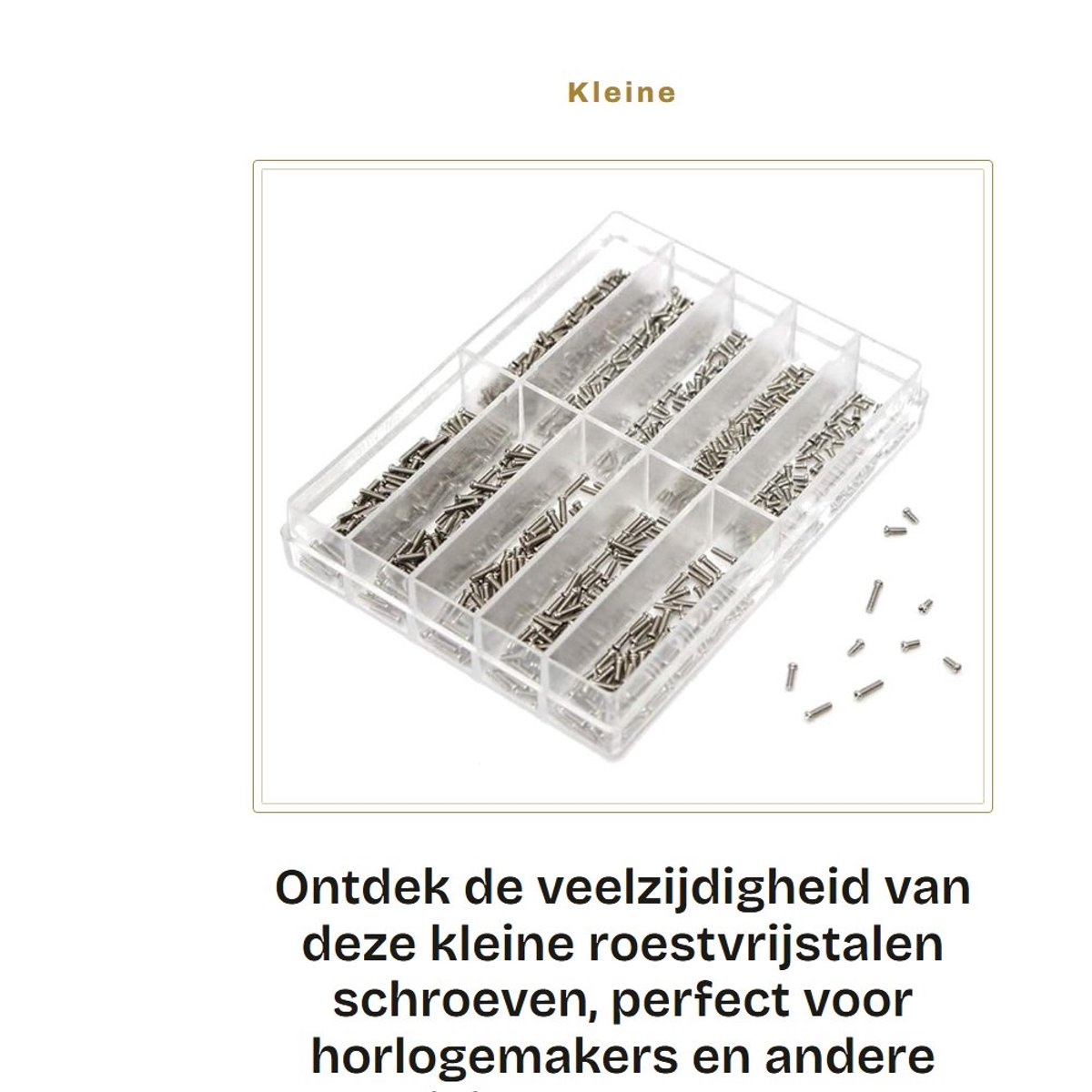 Dailygoods- Schroeven - Kleine Roestvrijstalen Schroeven - Professionele Accessoires - Opbergdoos - Voor Horloges/Zonnebrillen - Diverse Maten - Horlogeschroeven