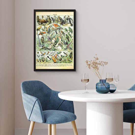 Affiche avec cadre Animaux - Vogels - Design - 40x60 cm