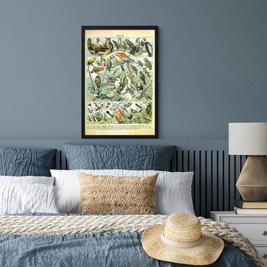Affiche avec cadre Animaux - Vogels - Design - 40x60 cm