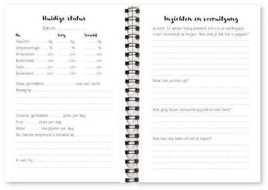 Eetdagboek met secties 'Huidige status' en 'Inzichten en vooruitgang'.