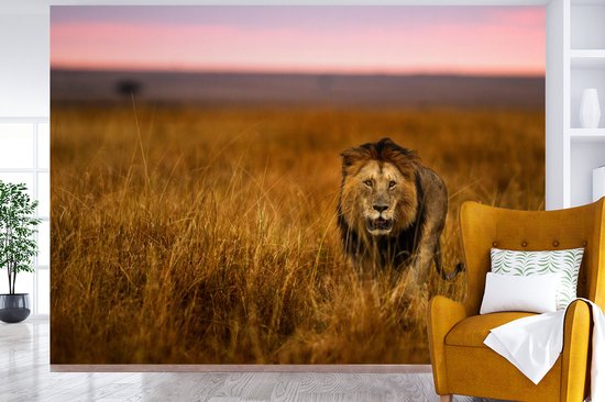 Papier peint - Papier peint photo Papier peint photo - Savane - Herbe - Largeur 415 cm x hauteur 300 cm