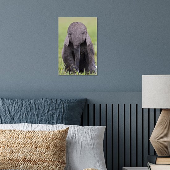 Affiche un bébé éléphant - 20x30 cm