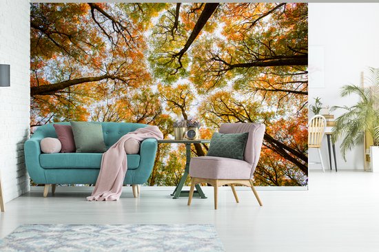 Papier peint - Papier peint photo Forêt - Arbres - Automne - Largeur 420 cm x hauteur 280 cm