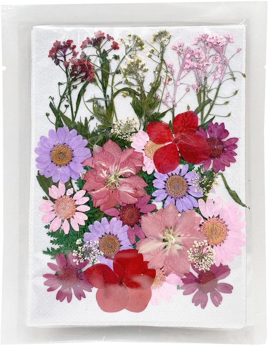 SnelShoppen - Dried Pressed Flowers - Natuurlijke Gedroogde Bloemen - Echte Persbloemen - Kleurrijke Droogbloemen voor Resin Sieraden, Nagelkunst en D