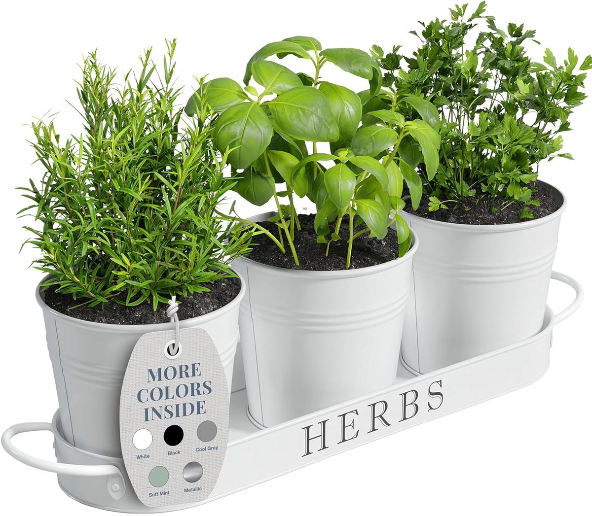 SnelShoppen - Herb Pot Set met Tray voor Binnen en Buiten - Decoratieve Witte Metaal Succulent Pot voor Keukenraam of Tuin - 3 Stuks
