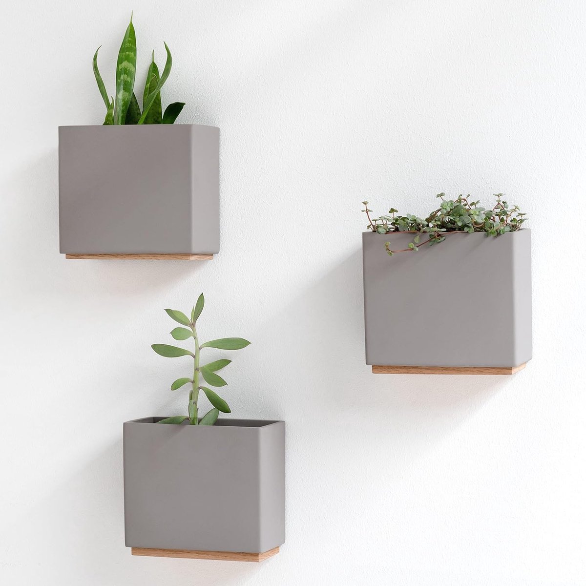 SnelShoppen - Wandplanten - Alma - Set van 3 Moderne Hangende Plantenpotten van Hars - Geometrisch Design - Taupe - Inclusief Muurbevestiging voor Bin