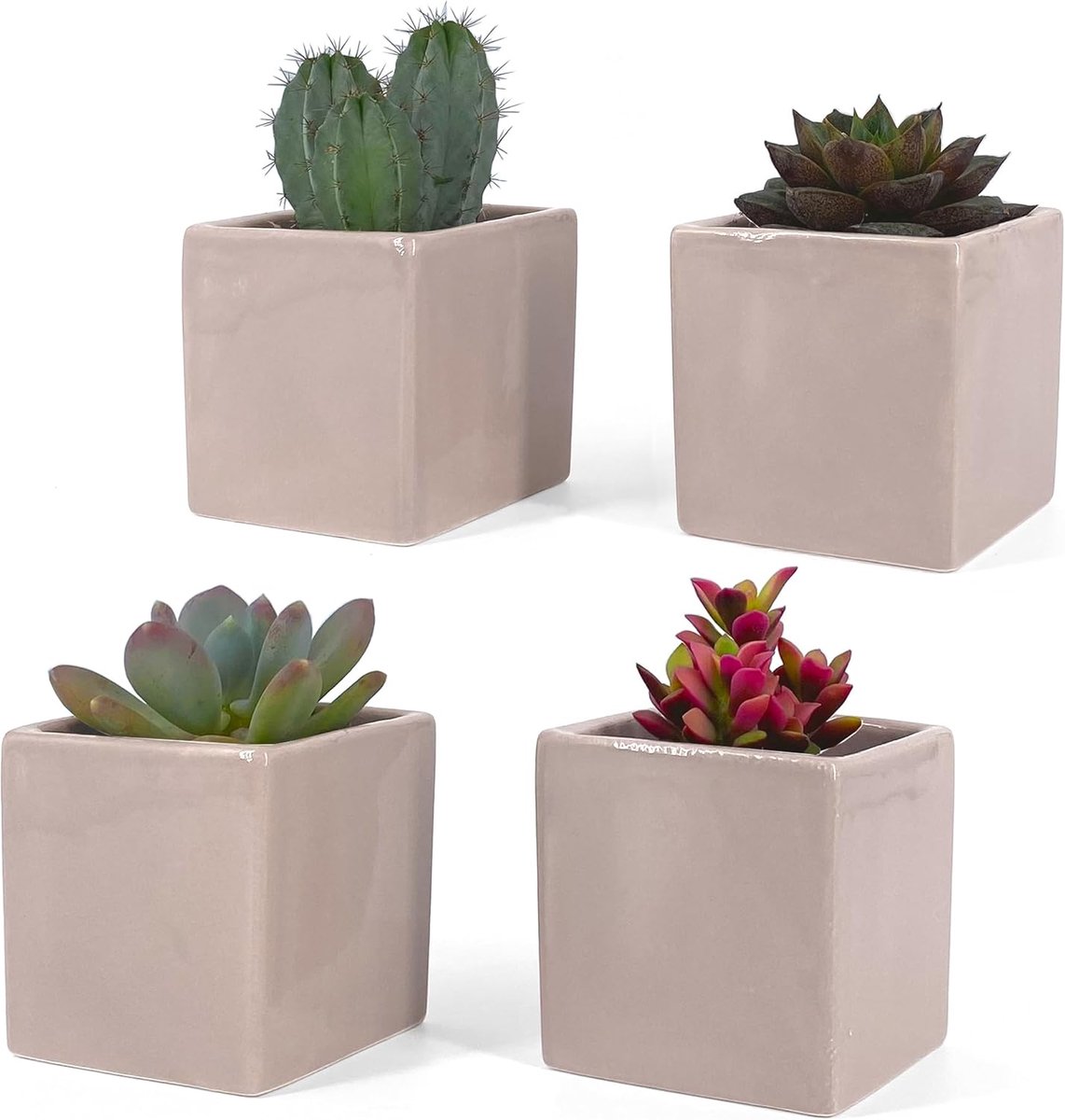 SnelShoppen - Set van 4 Vierkante Keramische Vazen Taube Grijs 6.5x6.5cm voor Succulenten, Cactussen, Bonsai, Thuis Decoratie, Kantoor, Tafel, Organis