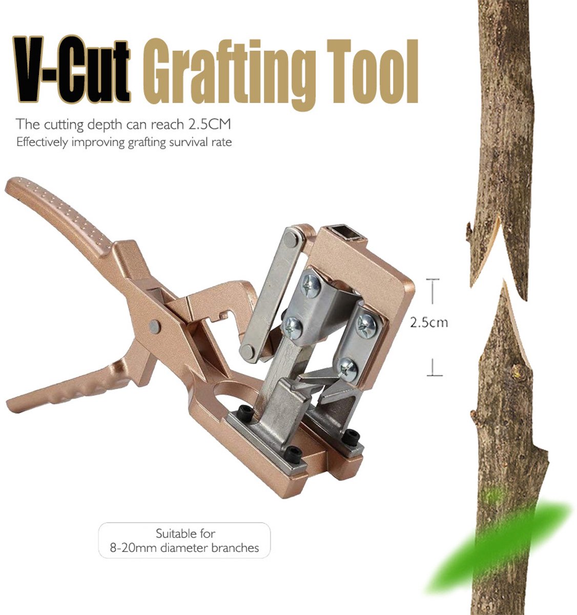 Ryoudavell - Enttang - V-Cut Entmachine voor Fruitbomen en Planten - Handmatige Takkenschaar met SK5 Koolstofstalen Mes - Tuinschaar - Goudbruin