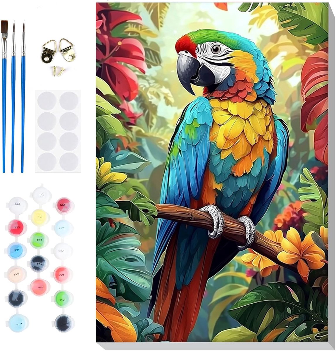 SnelShoppen - Schilderen op Nummer Volwassenen Papegaai DIY Set met Lijst, Penselen en Acrylverf, Handgeschilderd Olieverf op Canvas voor Thuisdecorat