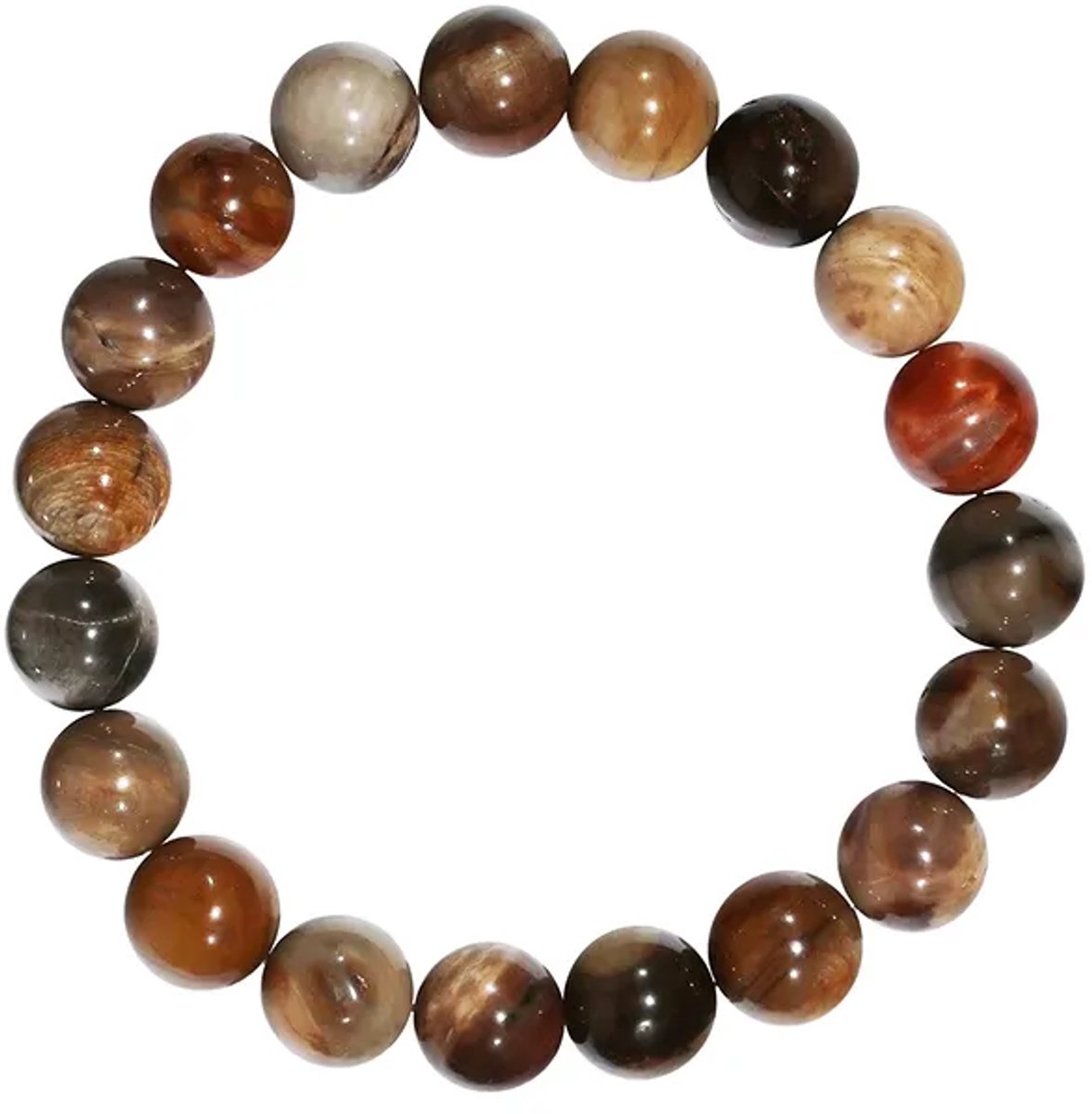Armband Versteend Hout 10 mm