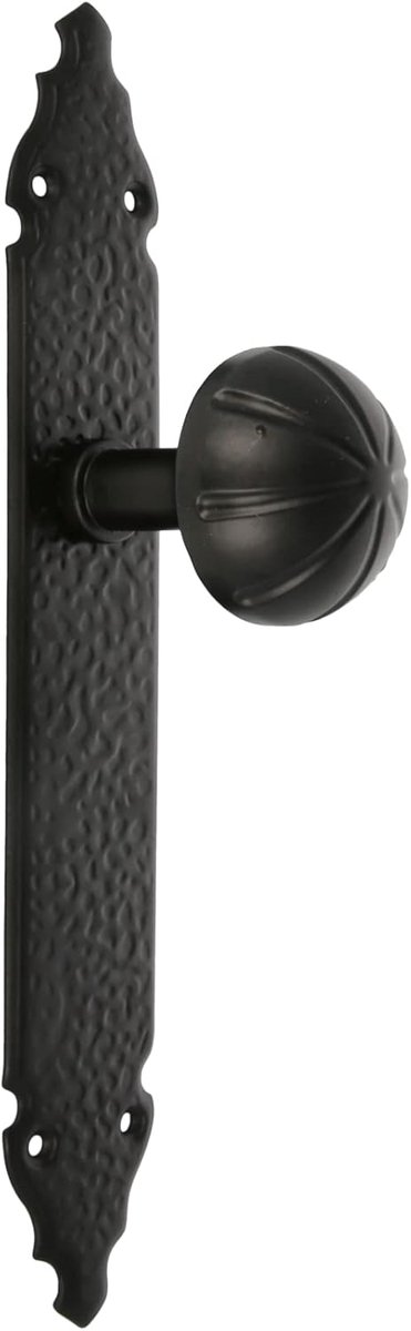 SnelShoppen - Deurgreep - Draaiend met Gehamerde Plaat - 280 x 45 x 2 mm - Knop Ø 55 mm - Stijlvolle Stalen Deurgreep voor Interieur Deuren - Zwart Za