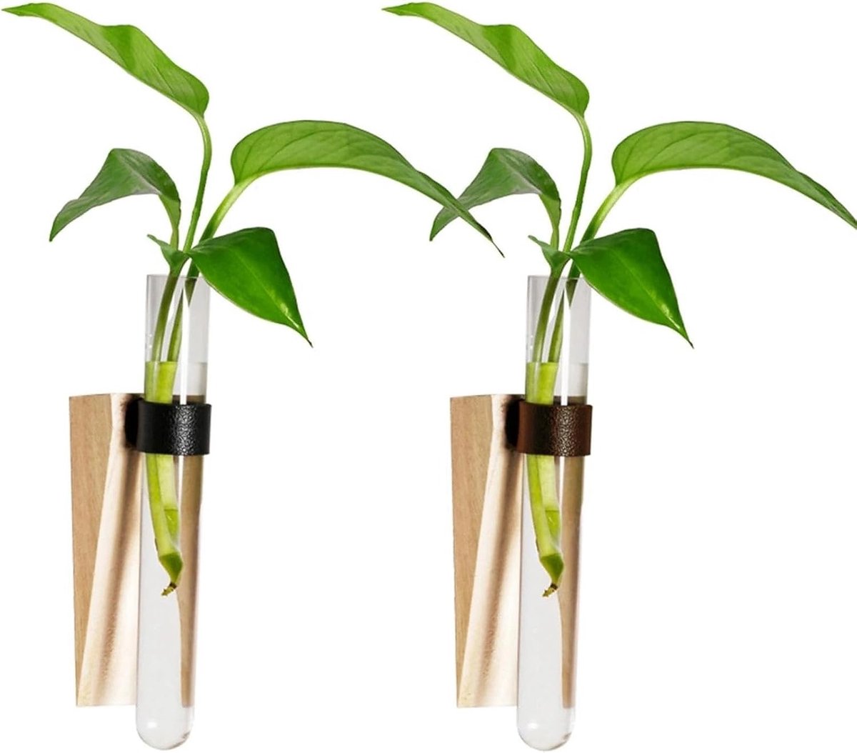 Set van 2 Plant Root Stations van Hout en Kunststof - Decoratieve Kweekstations voor Stekken, Kruiden en Bloemen in Huis of op Balkon, Zonder Boren