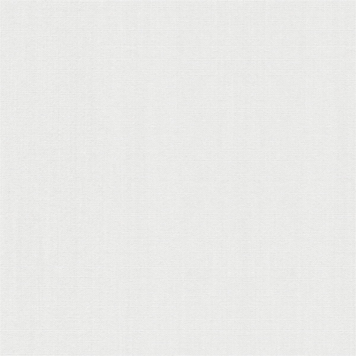Erismann vliesbehang 10590-01 effen wit
