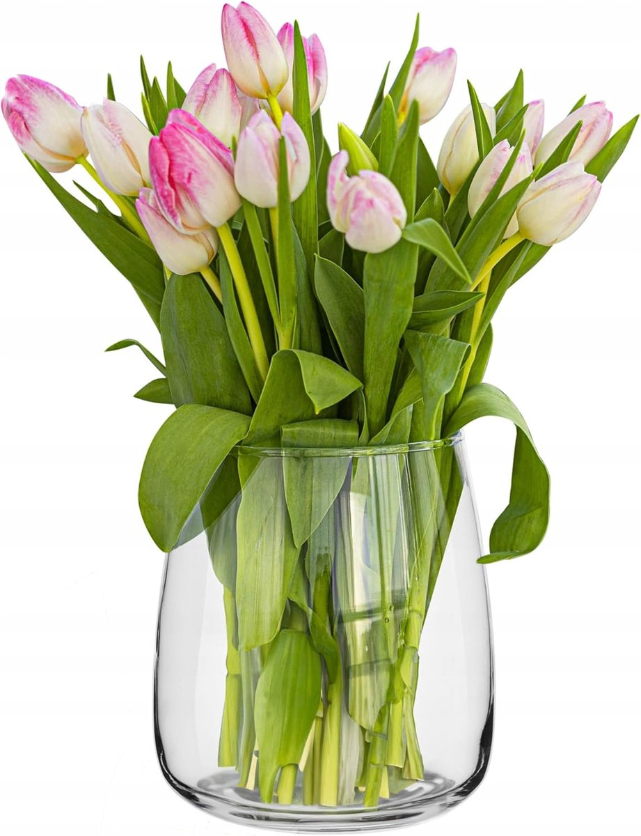 SnelShoppen - Grote glazen vaas voor pampasgras en bloemen H: 22,7 cm, Ø 19 cm, ideaal voor bruiloften en decoratie, trendy Zinnia stijl